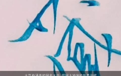 大气有涵养的网名大全,爱网上冲浪的我是这样来起的2024大气有涵养的网名名字大全,最新