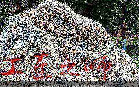 好听又特别的微信名字高雅不俗的微信网名大全,2024好听高雅的微信微信网名名字