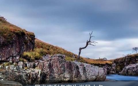 属龙吉利名字生肖鼠小名