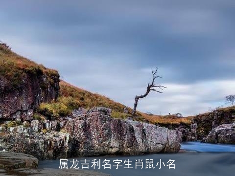 属龙吉利名字生肖鼠小名