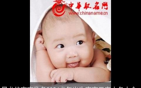 属龙的宝宝乳名2024龙年出生宝宝三字小名大全,