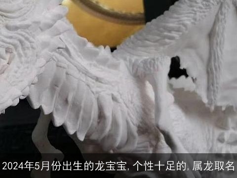 2024年5月份出生的龙宝宝,个性十足的,属龙取名
