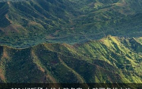 2024好听稀少的女孩名字,女孩取名的方法