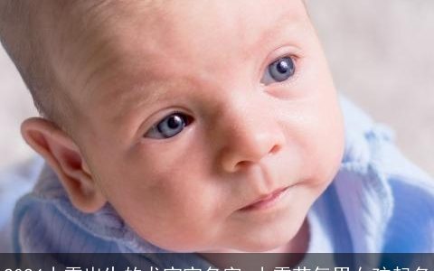 2024小雪出生的龙宝宝名字,小雪节气男女孩起名