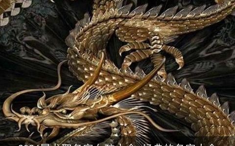 2024属龙取名字女孩大全,经典的名字大全