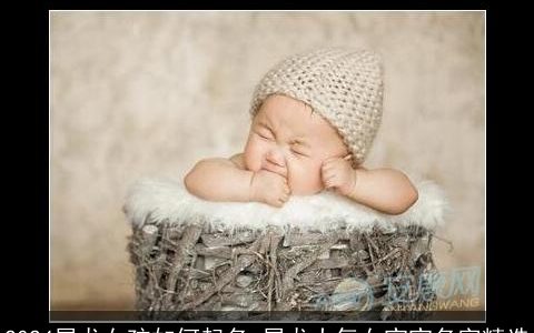 2024属龙女孩如何起名,属龙大气女宝宝名字精选