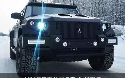 2024年汽车公司名字,独具霸气