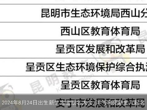 2024年8月24日出生新生宝宝取名大全,洋气响亮新生儿起名