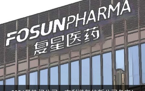 2024最热门公司：吉利洋气的新公司名字!