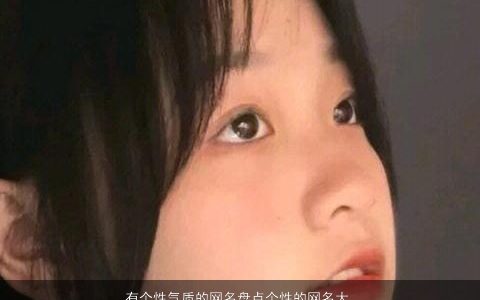 有个性气质的网名盘点个性的网名大全,个性气质个性的网名网名名字最新