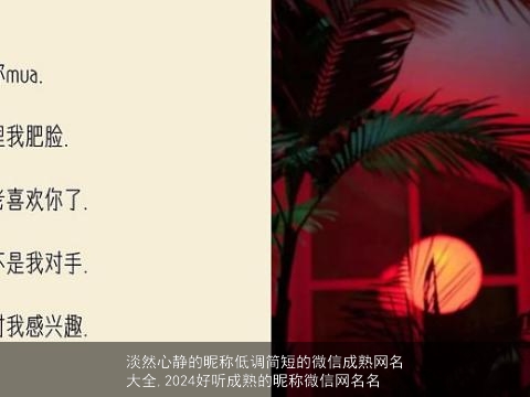 淡然心静的昵称低调简短的微信成熟网名大全,2024好听成熟的昵称微信网名名