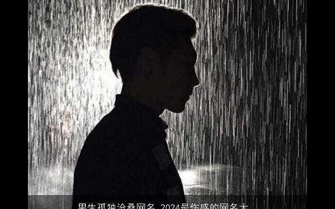 男生孤独沧桑网名 2024最伤感的网名大全, 有涵养伤感的男生网名网名名字大全,