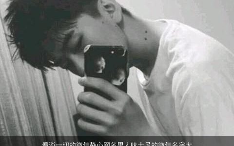 看淡一切的微信静心网名男人味十足的微信名字大全, 新颖有涵养的微信网名男微信名字大全,最新