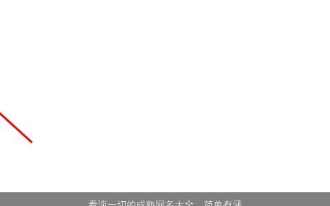 看淡一切的成熟网名大全, 简单有涵养 成熟简单有涵养的网名名字大全,