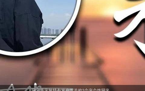 网名两字独特有寓意唯美的2个字个性网名大全,独特寓意唯美个性的网名网名名字最新