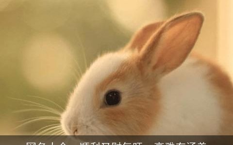 网名大全：顺利又财气旺，高雅有涵养