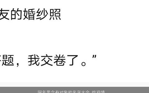 网名里含有对象的名字大全,吃鸡情侣名有内涵独一无二的网名鸡情侣名字