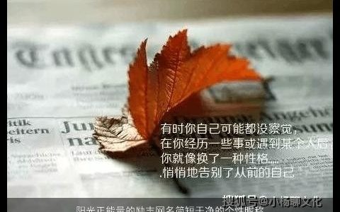 阳光正能量的励志网名简短干净的个性昵称大全,2024 阳光个性的网名昵称名字