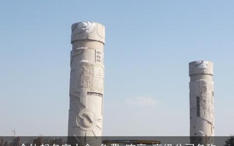 个体起名字大全,免费,响亮,高级公司名称