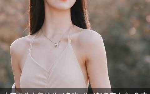 中字开头大气的公司名称,公司起名字大全,免费