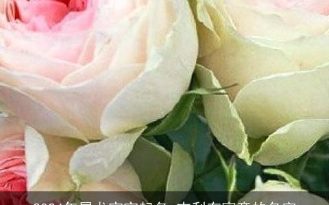 2024年属龙宝宝起名,吉利有寓意的名字