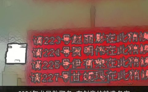 2024年龙凤胎取名,有创意的精选名字