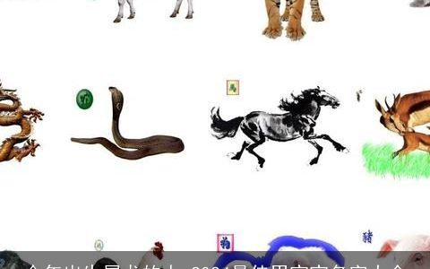 今年出生属龙的人,2024最佳男宝宝名字大全