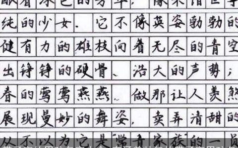 带子字的男孩名字大全,有涵养帅气的带子字男孩名