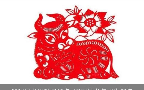 2024属龙男孩子取名,阳刚的龙年男生起名