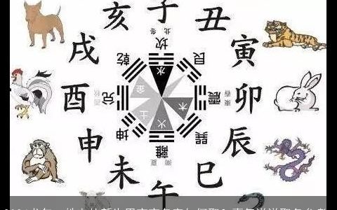 2024龙年，姓韦的新生男宝宝名字如何取？喜气洋洋取名参考,