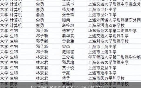 100个好听双胞胎男孩名字手把手教你如何起名大全