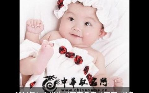 2024年秋天出生男宝宝名字龙宝宝,取名