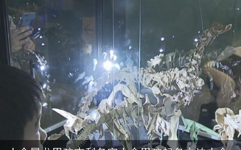 土命属龙男孩吉利名字土命男孩起名方法大全,