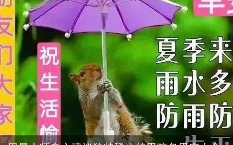 周易大师良心建议独特稀少的男孩名用字大全,