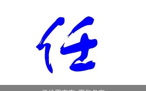 任姓男宝宝,霸气名字