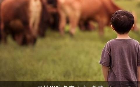 吴姓男孩名字大全,免费