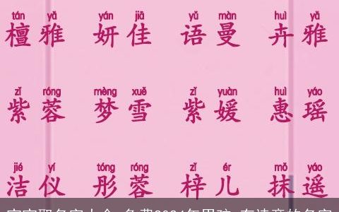 宝宝取名字大全,免费2024年男孩 有诗意的名字