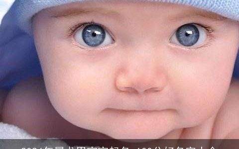 2024年属龙男宝宝起名,100分好名字大全