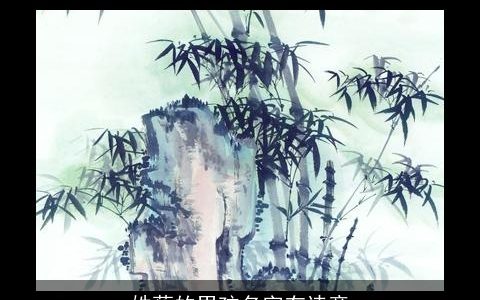 姓蔡的男孩名字有诗意