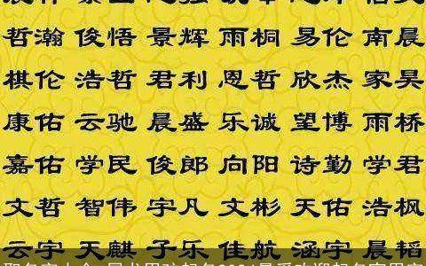 取名字大全,属龙男孩起名2024最受欢迎起名宜用字