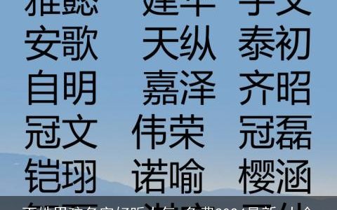 丁姓男孩名字好听大气,免费2024最新,大全