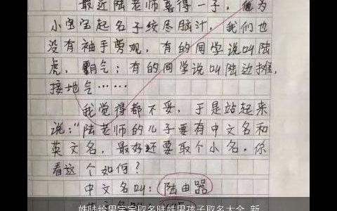 姓陆给男宝宝取名陆姓男孩子取名大全,新颖有涵养的陆姓男宝宝男孩名字大全,精挑