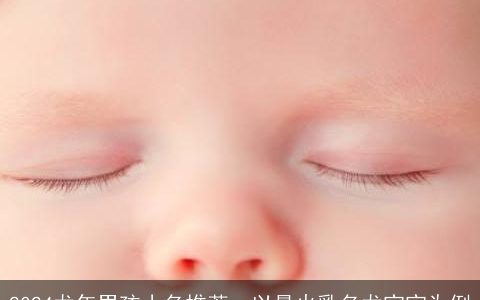 2024龙年男孩小名推荐，以最火乳名龙宝宝为例