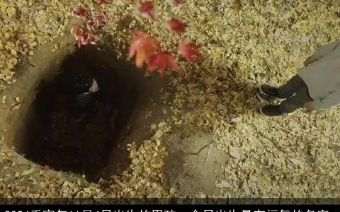 2024壬寅年11月4日出生的男孩，今日出生最有福气的名字,