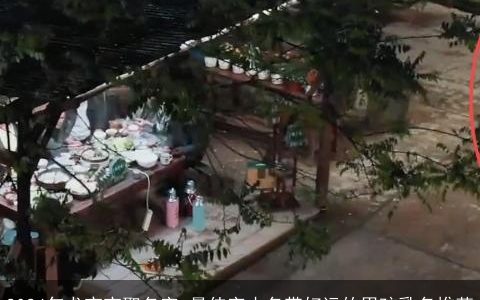 2024年龙宝宝取名字,最佳字小名带好运的男孩乳名推荐