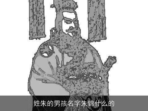 姓朱的男孩名字朱锦什么的