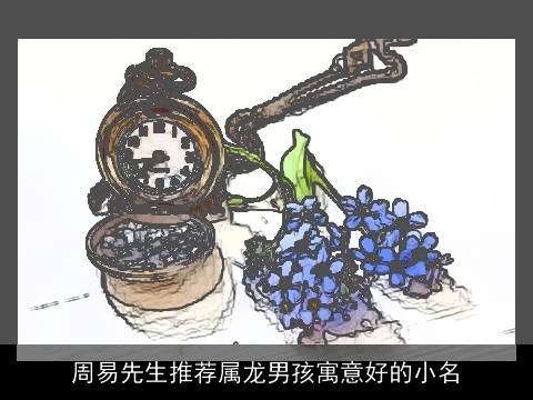 周易先生推荐属龙男孩寓意好的小名